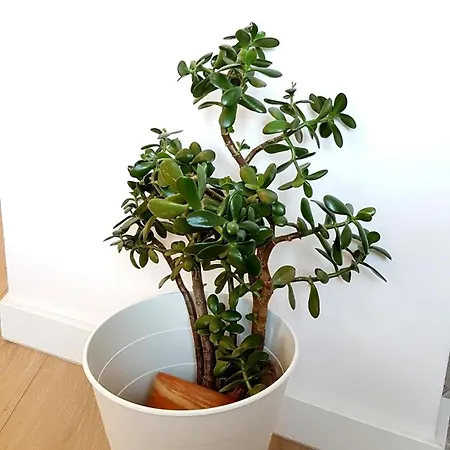 アパート Batorego, Panoramic Excellent View *