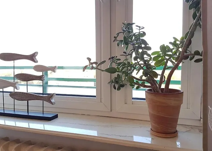 Batorego, Panoramic Excellent View Warszawa